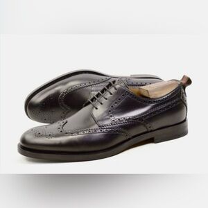 NIB Gucci Lace up Oxford Shorts size 10.5